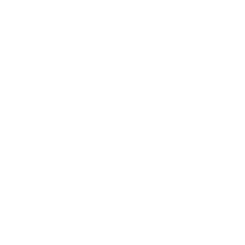 Logo Portabagagli del Porto di Venezia